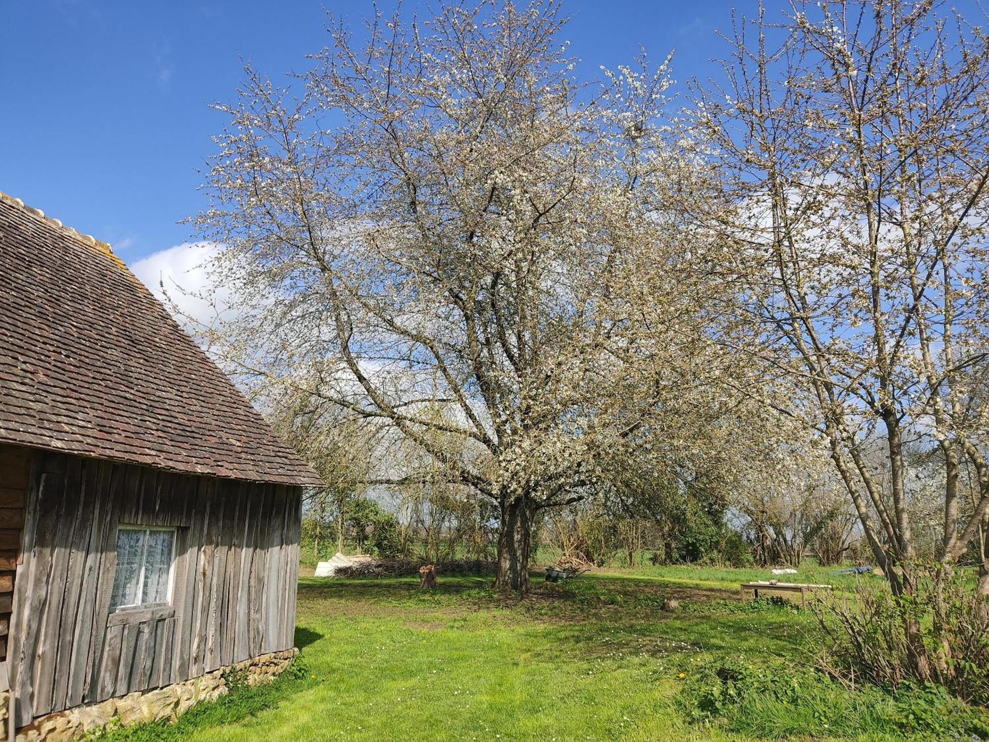 La Valise A Cheval Bed & Breakfast Mezieres-sur-Ponthouin ภายนอก รูปภาพ